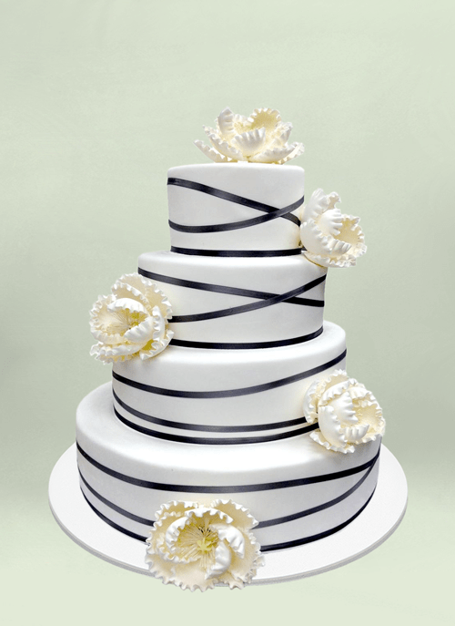 Photo: white fondant cake banded in black ribbon and large white sugar flowers