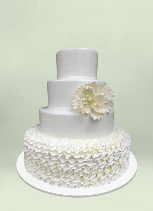 Photo: smooth white cake with one tier of frosted pattern and large flower